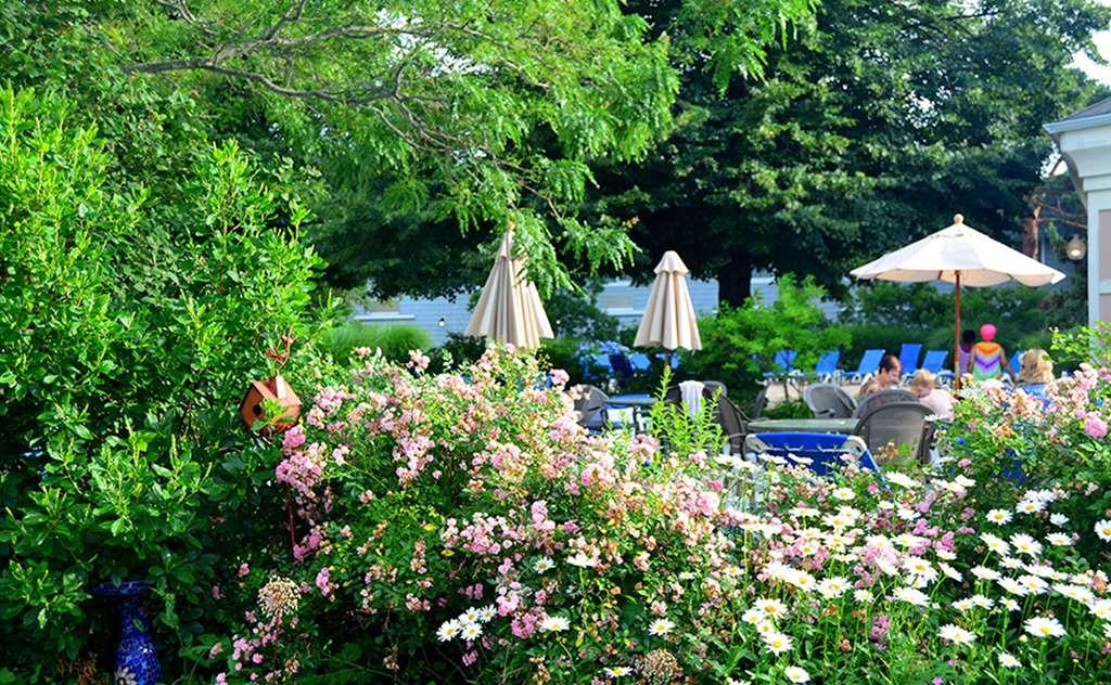 Margaritaville Resort Cape Cod Hyannis Tiện nghi bức ảnh